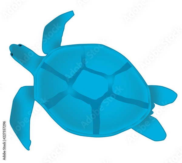 Fototapeta sea turtle
