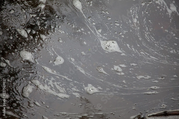 Obraz Polluted Water