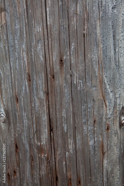 Obraz Old Wood Texture