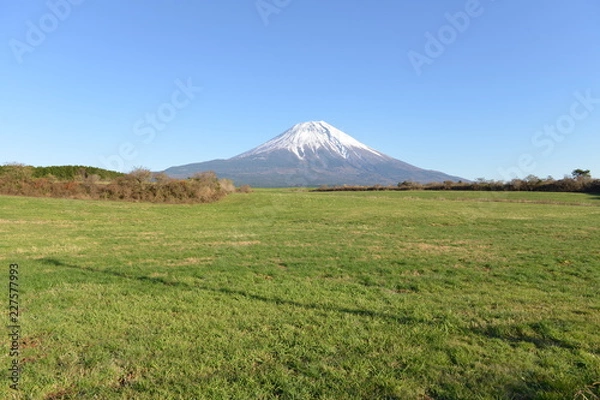 Fototapeta 富士山