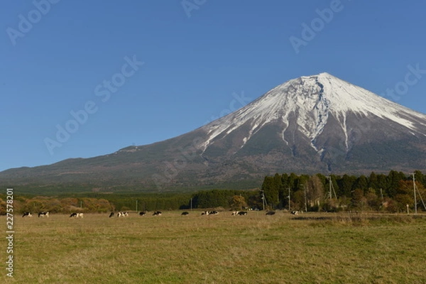 Obraz 富士山