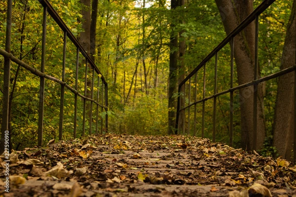 Obraz Herbst Brücke 