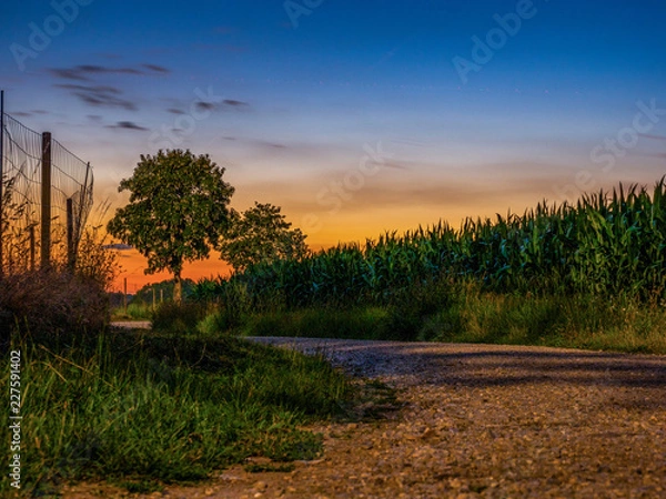 Obraz Weg Nacht Feld 