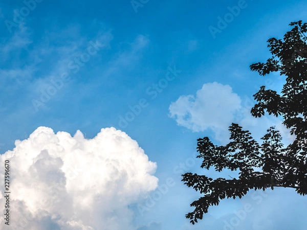 Fototapeta Emotion blurred of cloud in summer, defocused in subject. Abstract blur background of cloudy in day time. A beautiful in nature of cloud and sky. Silhouette image top of tree, tree parts.
