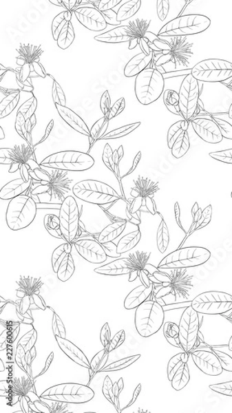 Fototapeta Pattern, background with with feijoa flowers