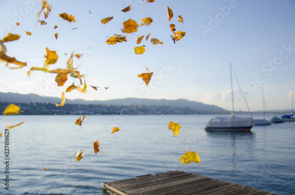 Fototapeta Blätter im Wind