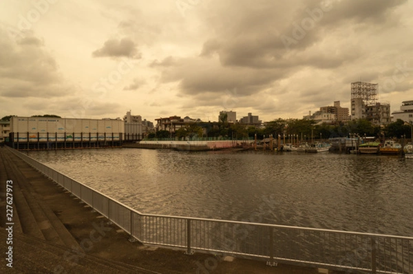 Fototapeta 河川敷、運河曇り