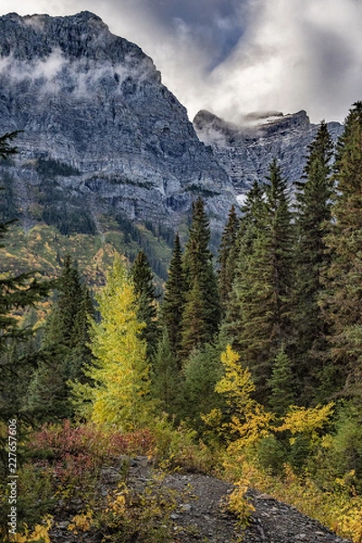 Obraz Glacier NP