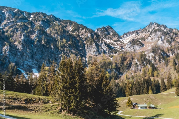 Fototapeta Beautiful alpine view at the Hochfelln - Bergen - Bavaria - Germany