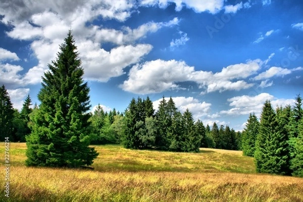 Obraz Thüringer Wald