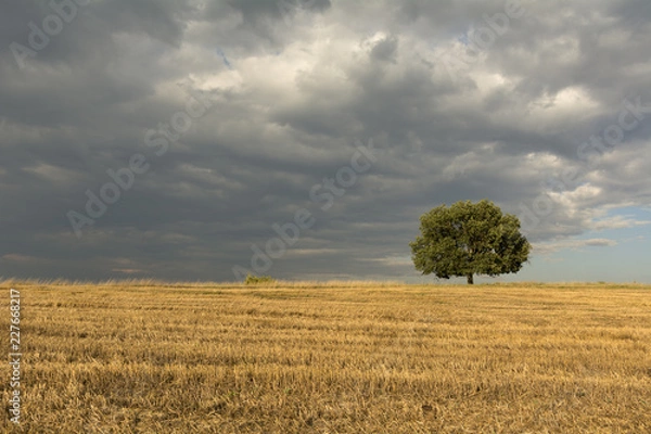 Fototapeta Countryside view.