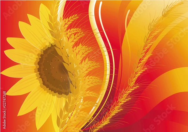 Obraz background with wheat and a sunflower