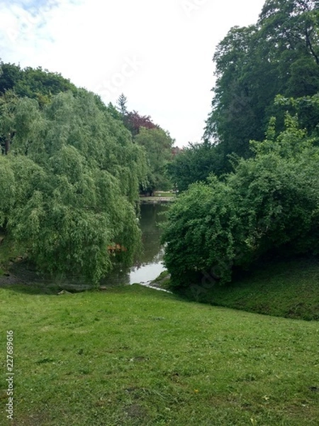 Obraz landscape with trees