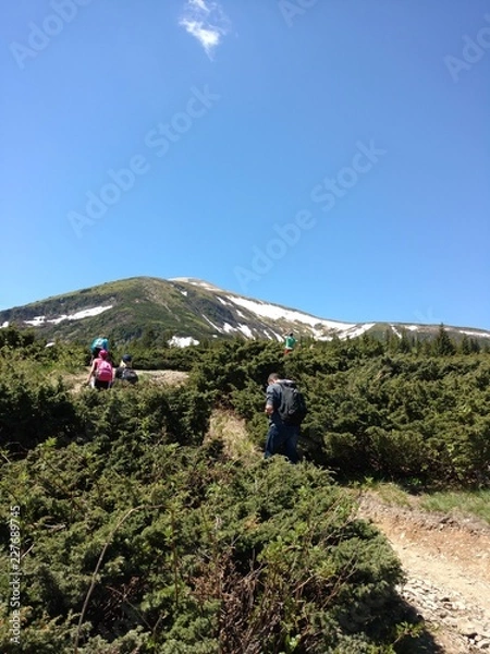Fototapeta hiking in the mountains
