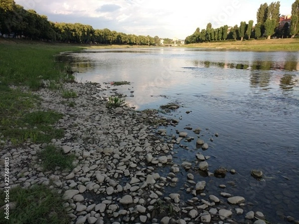 Obraz river in the forest