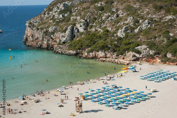 Obraz Cala en Porter beach