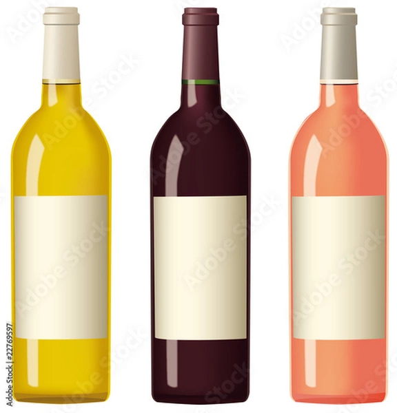 Fototapeta bouteilles de vins