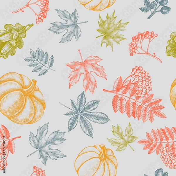 Fototapeta Decorative seamless pattern with Ink hand drawn autumn maple, chestnut, oak leaves, ripe pumpkin and a bunch of rowanberry.  Botanical elements texture for your design. Vector illustration.