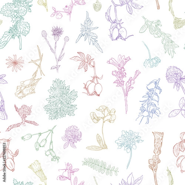 Fototapeta Wildflowers berries seamless pattern Hand drawn vector botanical illustration Background dogrose, burdock, herbs