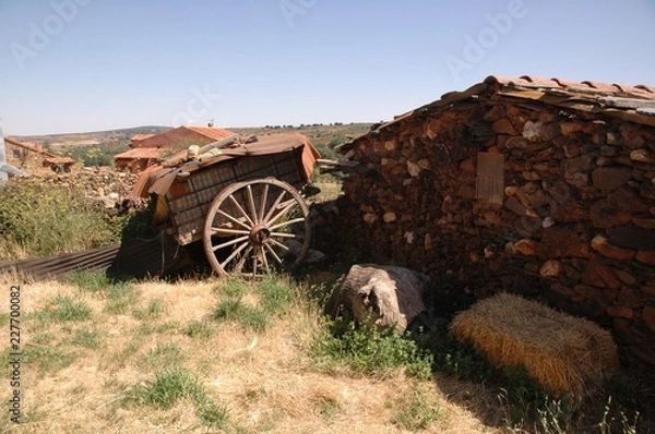 Obraz Campo de criptana