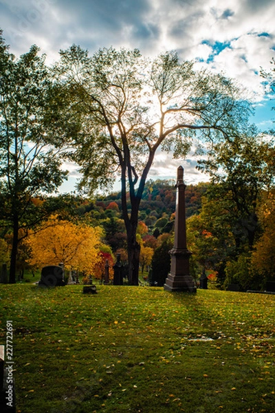 Obraz Graveyard hill