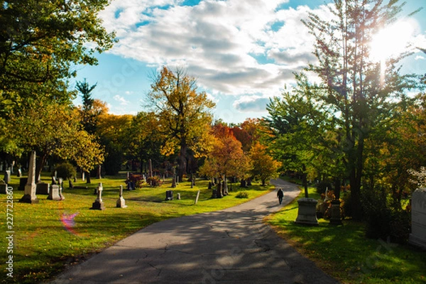 Obraz Graveyard Autumn Road