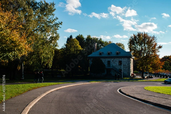 Obraz road in the park