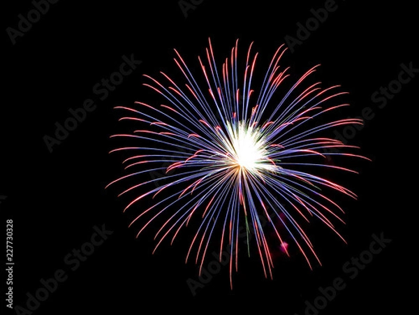 Obraz Fireworks , sparklers ,bursting against a black background