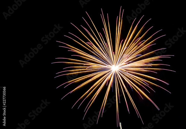 Obraz Fireworks , sparklers ,bursting against a black background