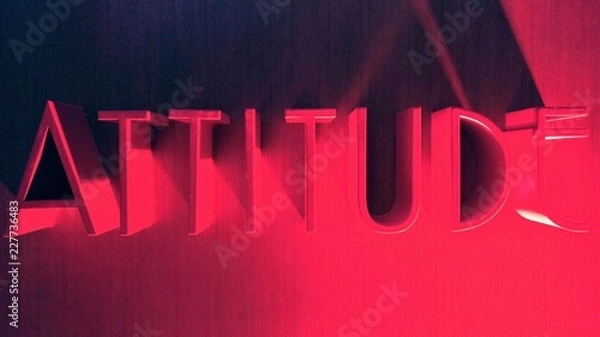 Obraz Attitude