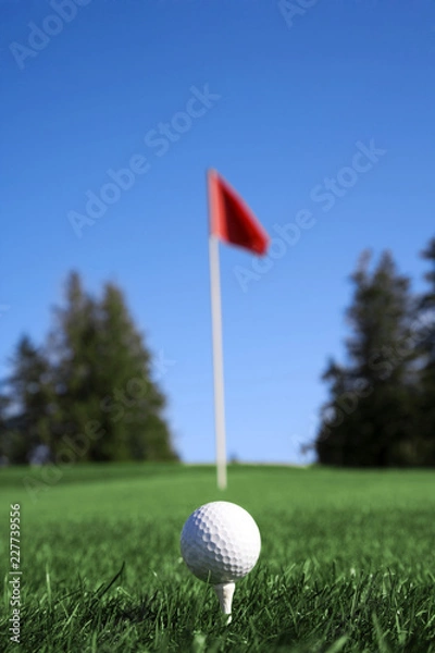 Obraz golf ball on a tee