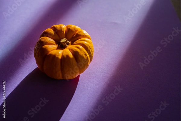 Obraz pumpkin 