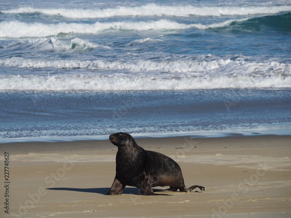 Obraz OLYMPUS DIGITAL CAMERA