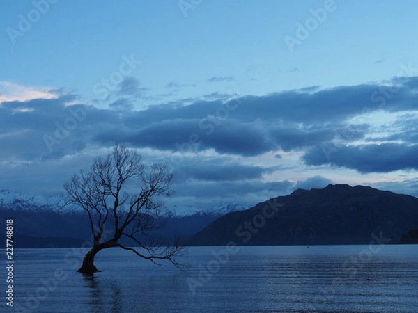 Obraz OLYMPUS DIGITAL CAMERA