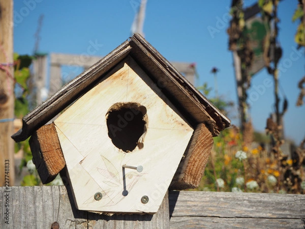 Obraz OLYMPUS DIGITAL CAMERA