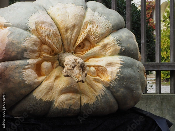 Obraz OLYMPUS DIGITAL CAMERA