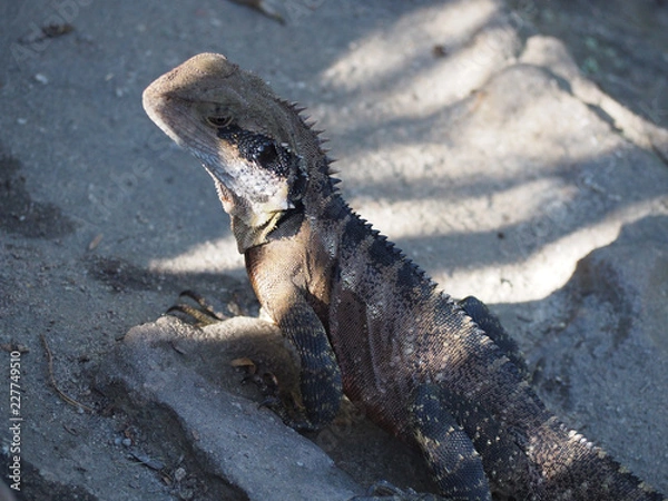 Obraz OLYMPUS DIGITAL CAMERA