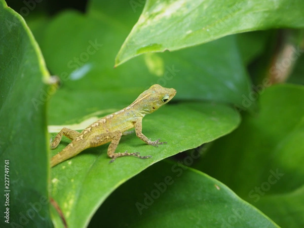 Obraz OLYMPUS DIGITAL CAMERA