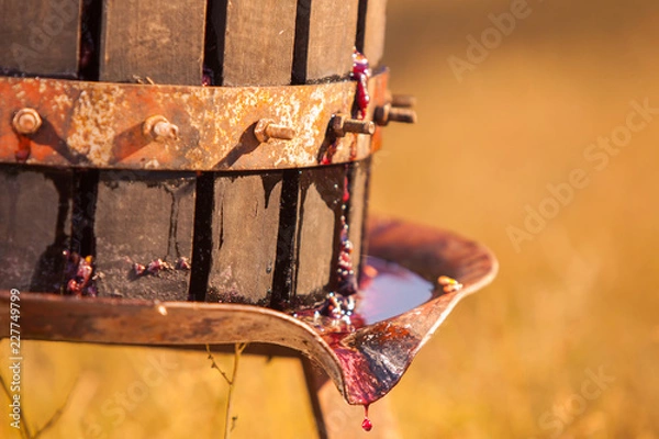 Fototapeta grape press machine wooden barrel. Homemade ecological wine production on the farm. the whole process in set of pictures of production of moldova vine