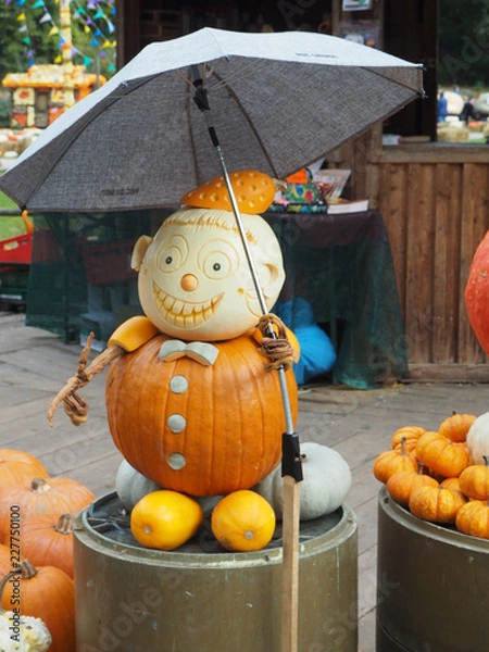 Obraz OLYMPUS DIGITAL CAMERA