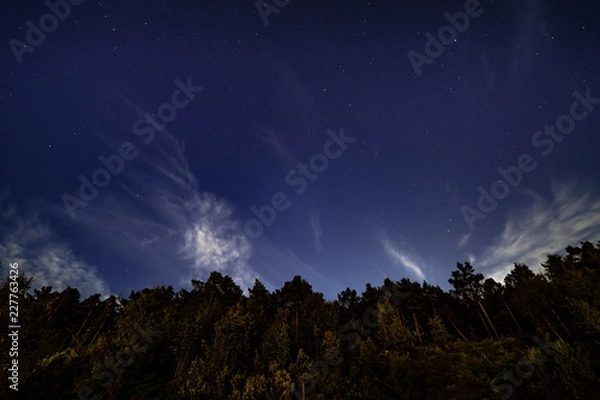 Obraz Stars in the night