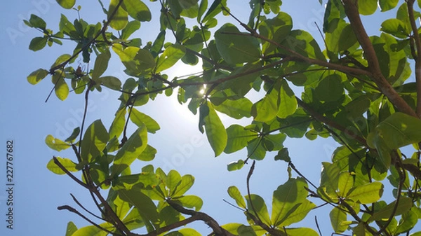 Fototapeta BALI-Urlaub