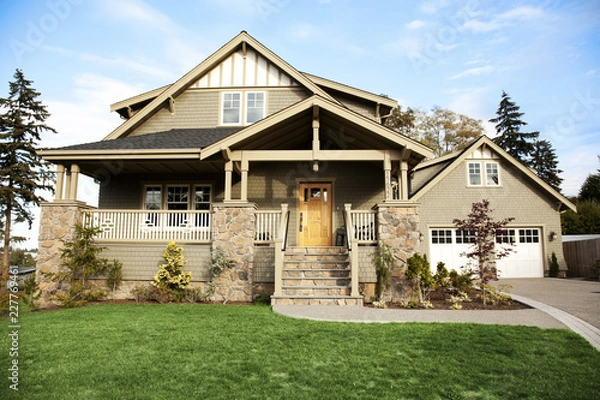 Obraz house