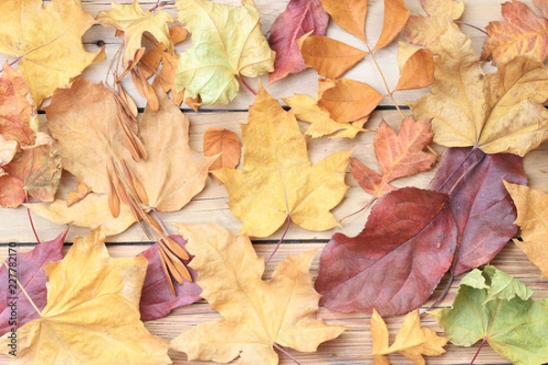 Fototapeta Autumn leaves on wooden background
