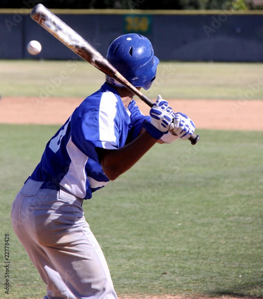 Obraz Baseball Action