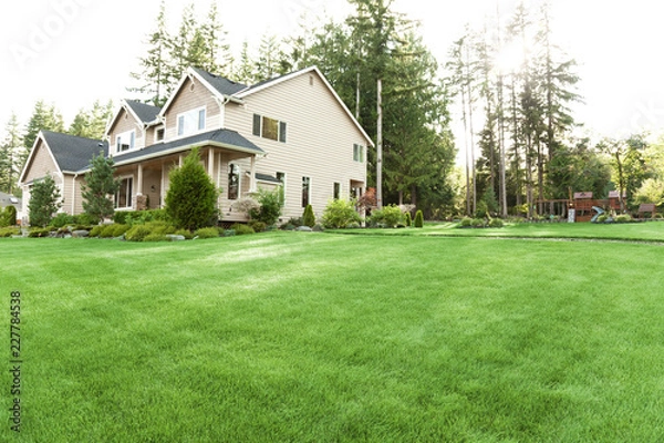 Obraz house with lawn and garden
