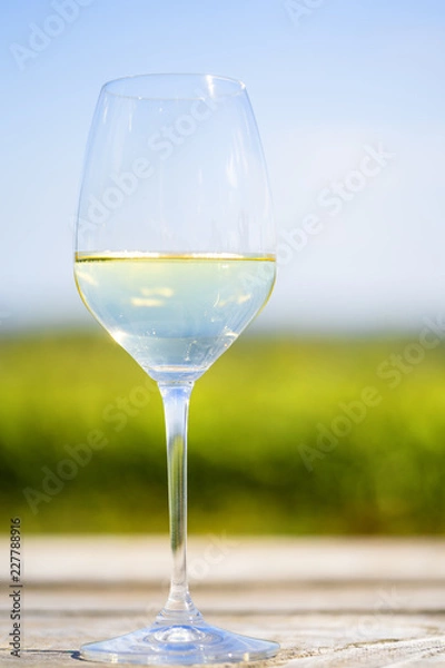 Fototapeta White Wine
