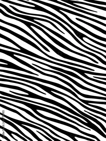 Obraz Zebra background