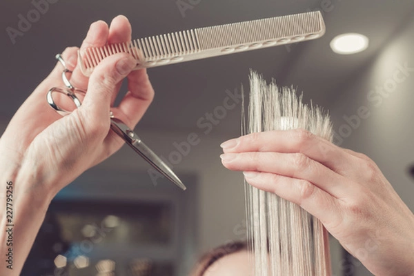 Fototapeta Hairdresser is cutting long hair in hair salon