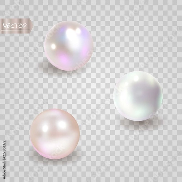 Obraz Pearl set isolated on transparent background. Spherical beautiful 3D orb with transparent glares and highlights. Jewel gems. Vector Illustration.